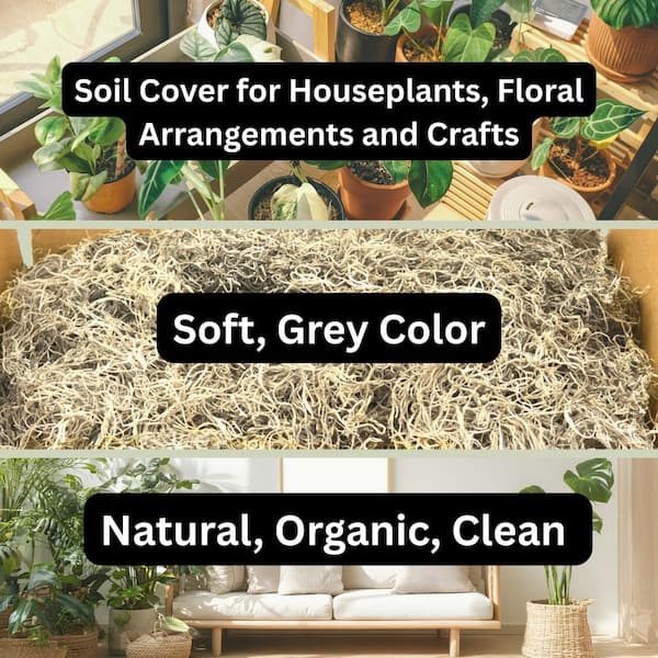 250 cu. in. Spanish Moss Soil Cover