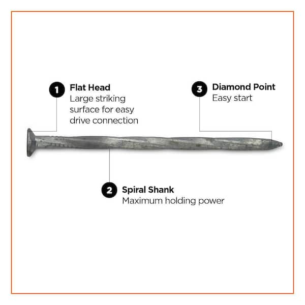 Pro-Fit 8D 2-1/2 in. Hot-Dipped Galvanized Nail Flat Head