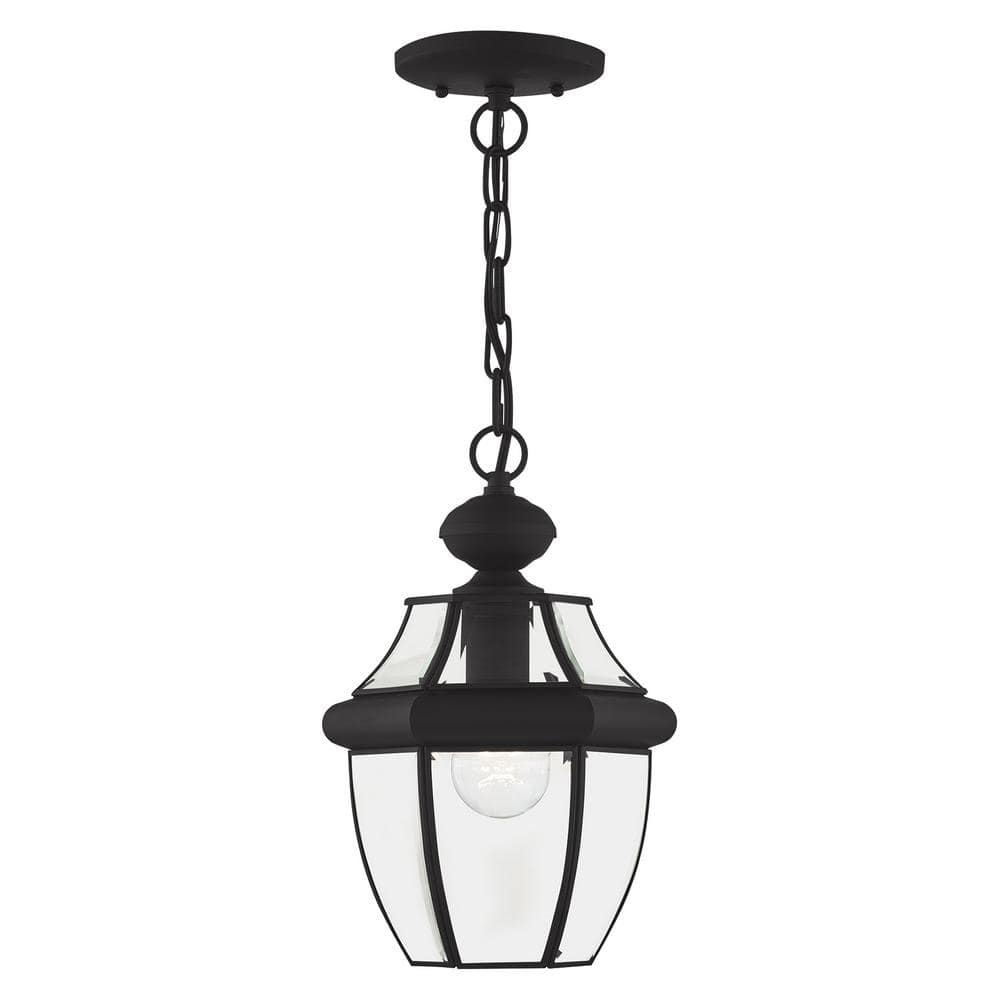 Black Glass 1-Light Indoor/Outdoor Pendant Lantern