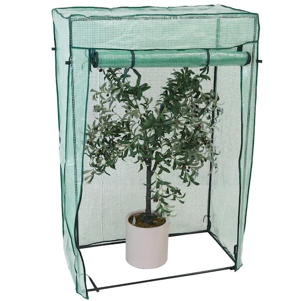Sunnydaze Decor Sunnydaze 38.5 in. W x 18.5 in. D x 59 in. H Deluxe Potted Plant and Tomato Plant Greenhouse, Green