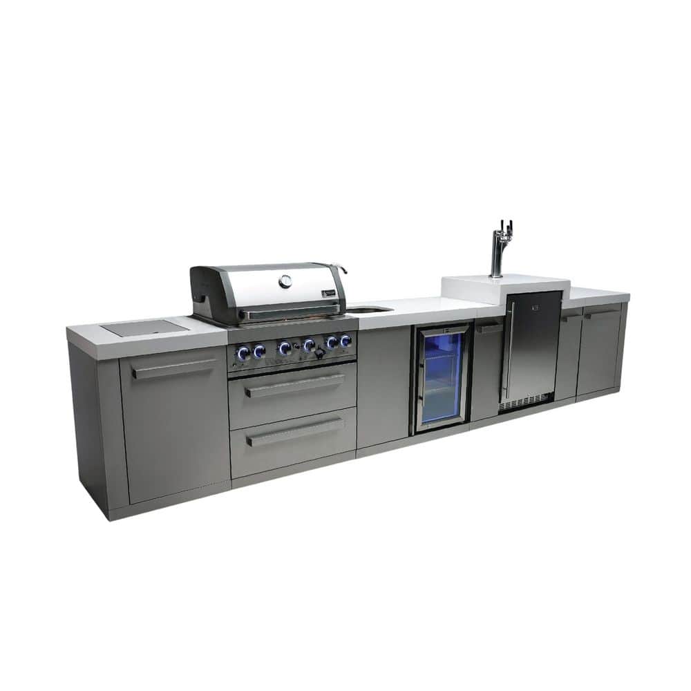 Premium 4-Burner Outdoor Kitchen + Kegerator + Fridge Faucet & Sink Propane Natural Gas Grill Island in Stainless Steel price history on PriceWatchPro