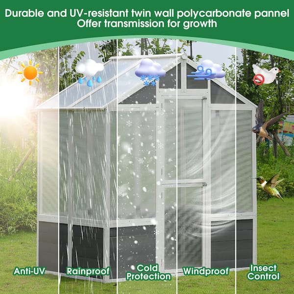 76 in. x 48 in. x 86 in. Walk-in Outdoor Wood Greenhouse Polycarbonate Garden Plant Shed, Plant Garden art Shed