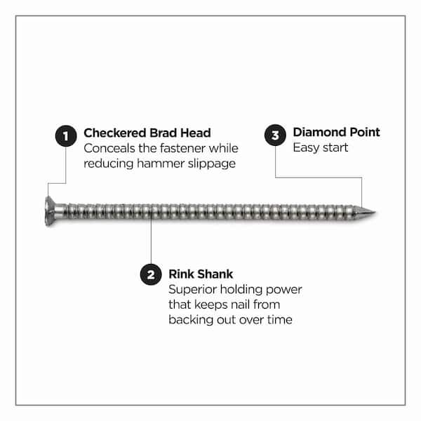 2 in. 6D 304 Stainless Steel Ring Shank Siding Nail 5 lbs. (1185-Count)