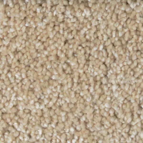 Home Decorators Collection 8 in. x 8 in. Texture Carpet Sample - Stargazer -Color Daydreamer