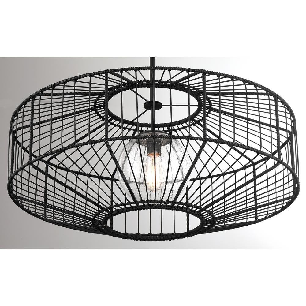 Matte Black Rattan and Glass Globe Pendant Light