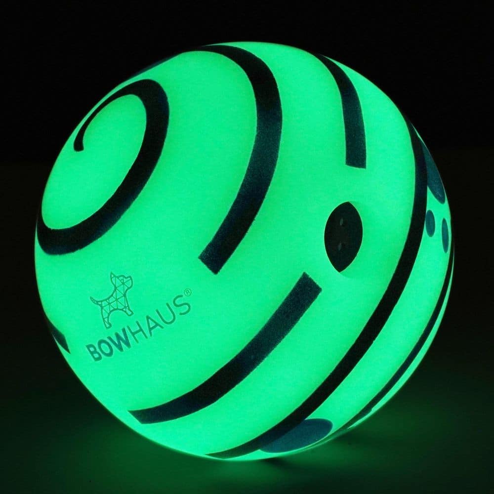 BOWHAUS Giggle Glow in the Dark Ball for Dogs, 5.5 in. Interactive Dog Exercise Toys