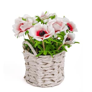 10 in. Artificial Floral Arrangements Anemone Assorted Flowers in White Basket Color: White
