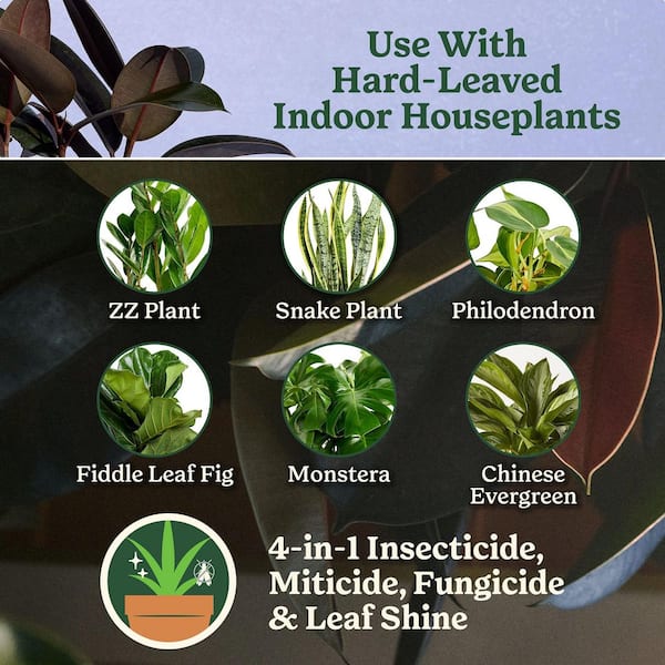 Plant Care Leaf Protect and Shine 8 fl. oz. Insecticide, Miticide, Fungicide and Leaf Shine Spray for Plants (6-Pack)