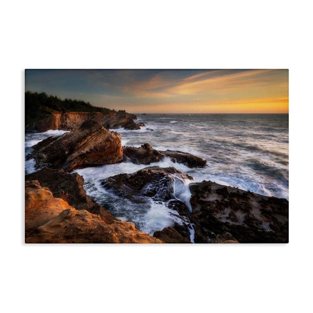 Nautical Shore Acres by Alan Majchrowicz Unframed Coastal Graphic Art Print 16 in. x 24 in. price history on PriceWatchPro