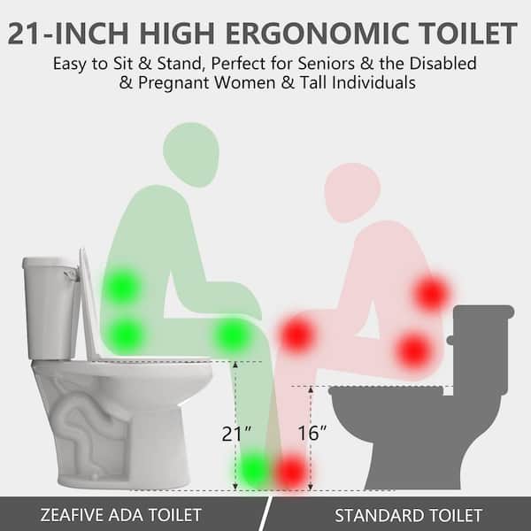 Have a question about Zeafive 12 in. Rough-in 2-Piece Toilets 1.28