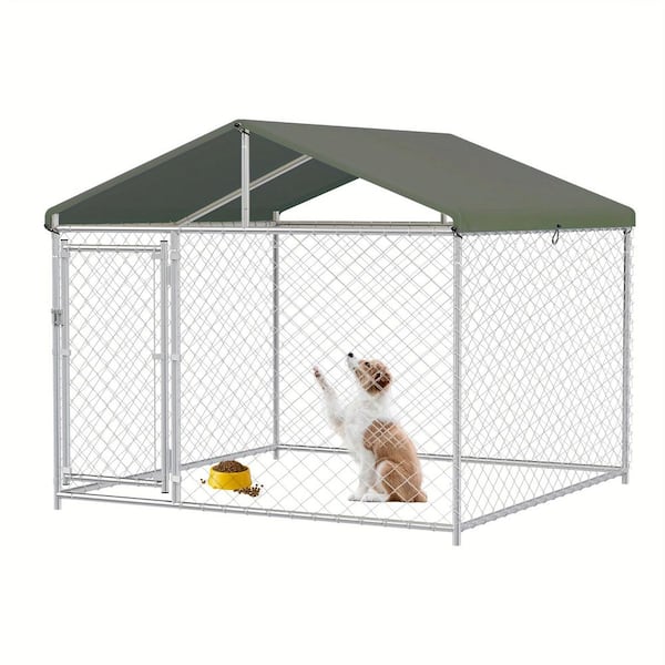 10 ft. x 10 ft. x 8 ft. Durable Dog Kennel Outdoor Dog Enclosure with Metal Door, Weatherproof Pet Fence