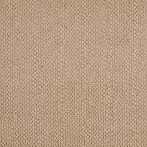 Falhurst  - Oceanside - Beige 15 ft. 24 oz. Polyester Pattern Installed Carpet