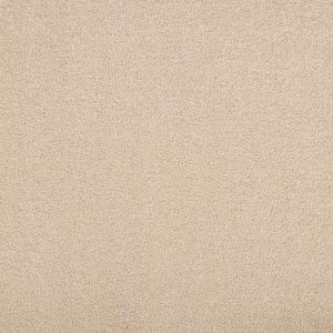 Hainsridge - Sand Dunes - Brown 68 oz. Triexta Texture Installed Carpet