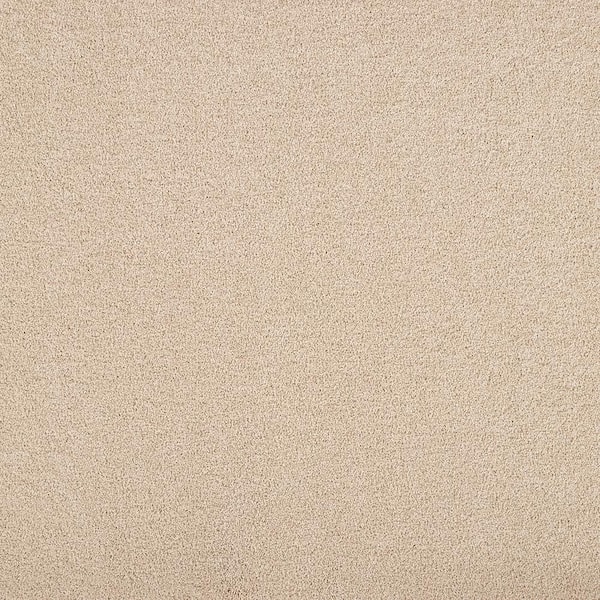 Lifeproof with Petproof Technology Hainsridge - Sand Dunes - Brown 68 oz. Triexta Texture Installed Carpet