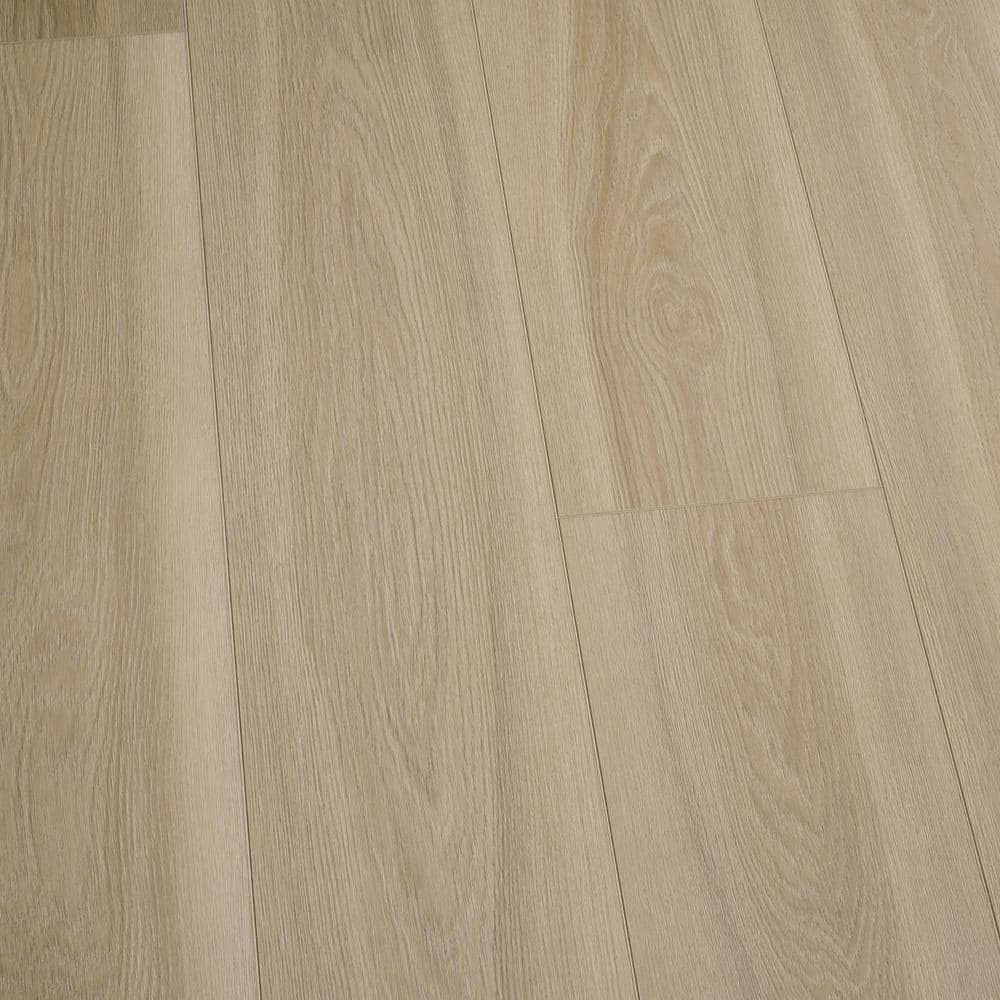 Take Home Sample - French Oak Santa Clara Waterproof Luxury Vinyl Plank Flooring price history on PriceWatchPro
