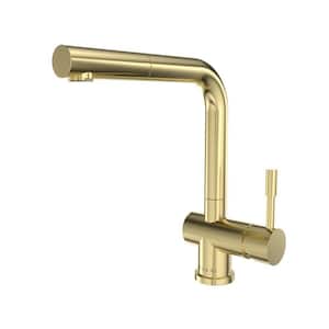 Nassau 1-Handle Stainless Steel Pull Out Sprayer Kitchen Faucet (No Spray Feature) in Champagne Gold
