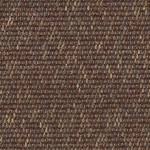 Social Network IV  - Tree Bark - Brown 22 oz. Nylon Berber Installed Carpet