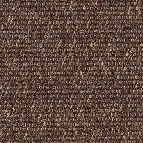 TrafficMaster Social Network IV  - Tree Bark - Brown 22 oz. Nylon Berber Installed Carpet