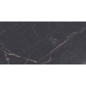 Parkview Brown 11.81 in. x 23.62 in. Polished Porcelain Field Tile