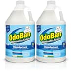 1 Gal. Fresh Linen Disinfectant and Odor Eliminator, Fabric Freshener, Mold Control, Multi-Purpose Concentrate (2-Pack)