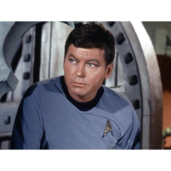 Oriental Furniture Oriental Furniture 24 in. x 32 in. "Star Trek Dr. Leonard "Bones" McCoy" Canvas Wall Art