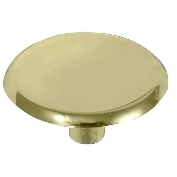 Modern Standards 1-1/2 in. Polished Brass Round Cabinet Knob (25-Pack)