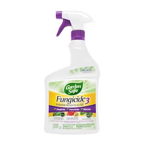 Garden Safe 32 oz. Insecticidal Soap Insect Killer Ready-to-Use HG-93216 -  The Home Depot