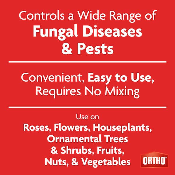 1 Gal. 3-in-1 Insect, Mite and Disease Control