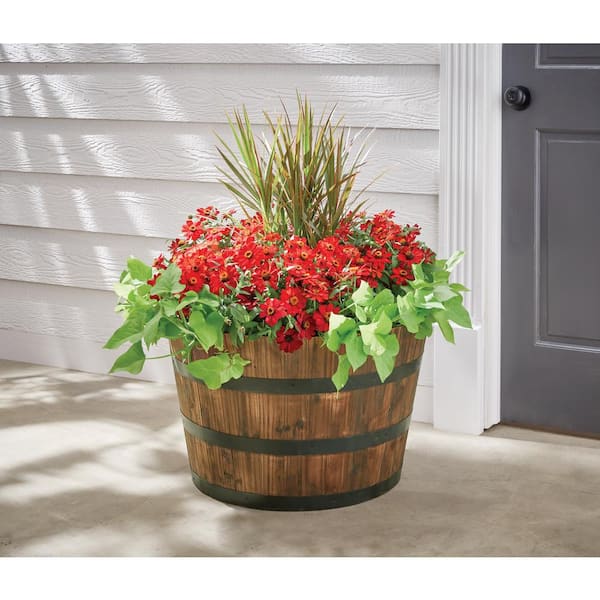 Vigoro Jackson Extra Large Dark Brown Wood Barrel Planter with Drainage  Hole (26 in. L x 26 in. W x 16.5 in. H) HL6642