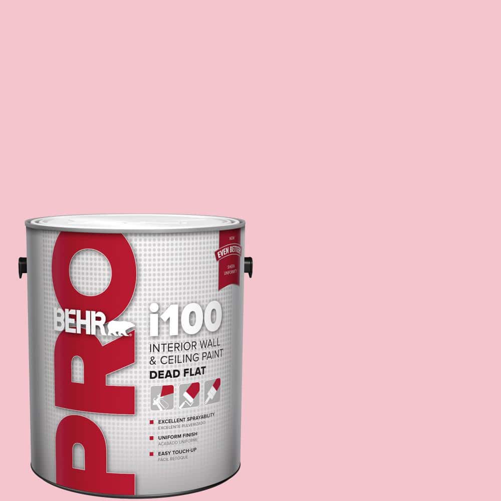 energetic-pink-behr-pro-paint-