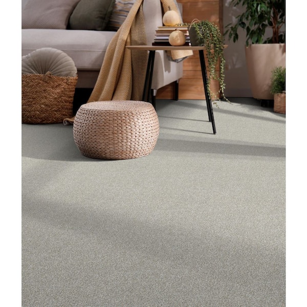 Classic Comfort - Trenton - White 45 oz. SD Polyester Texture Carpet - Installation Required