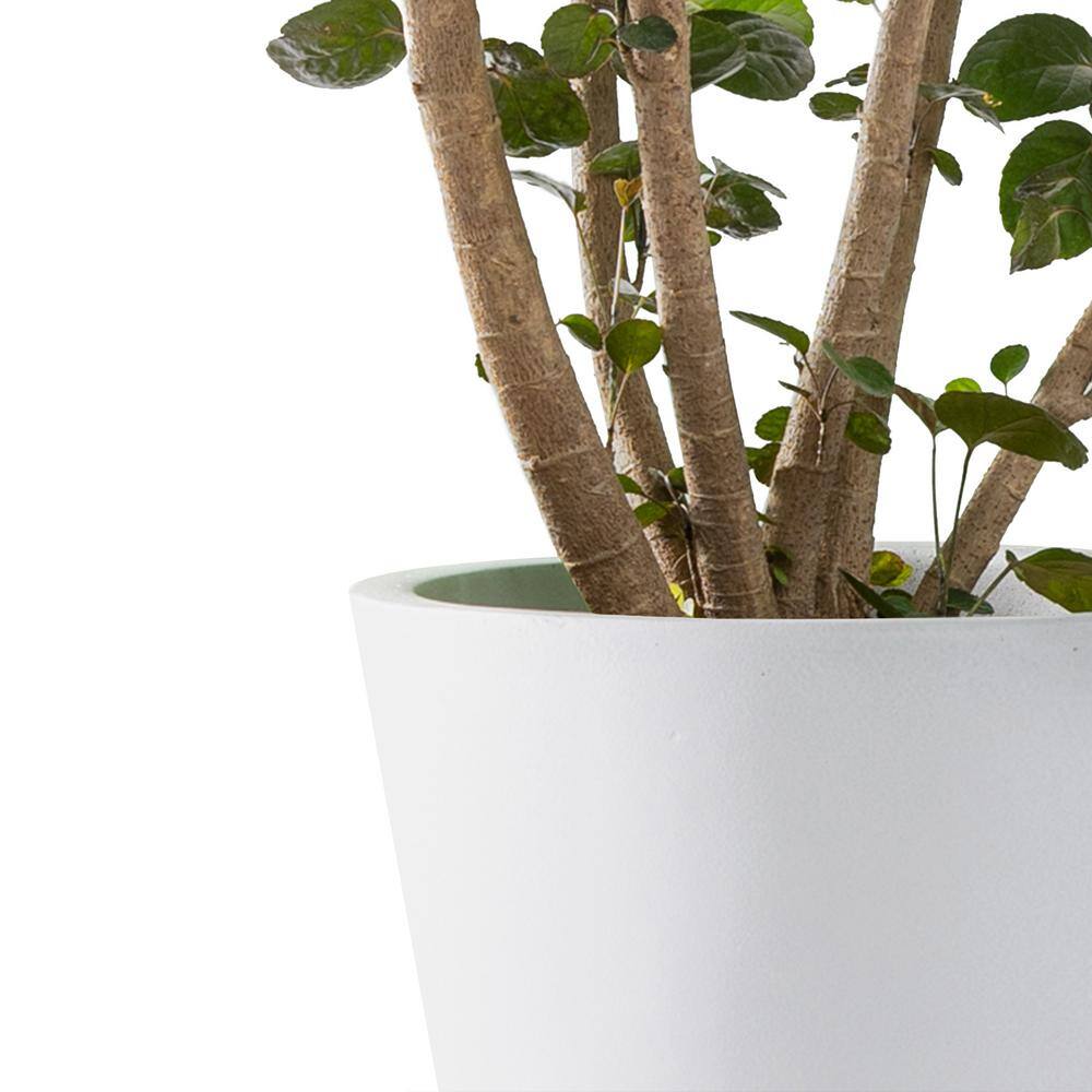 Elegant Pure White 18'' Lightweight Concrete Modern Round Planter
