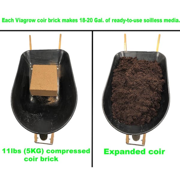 Details about   Coir Block 11 lb Natural Organic All Plant Types Ideal Helps Aerate Soil Garden 