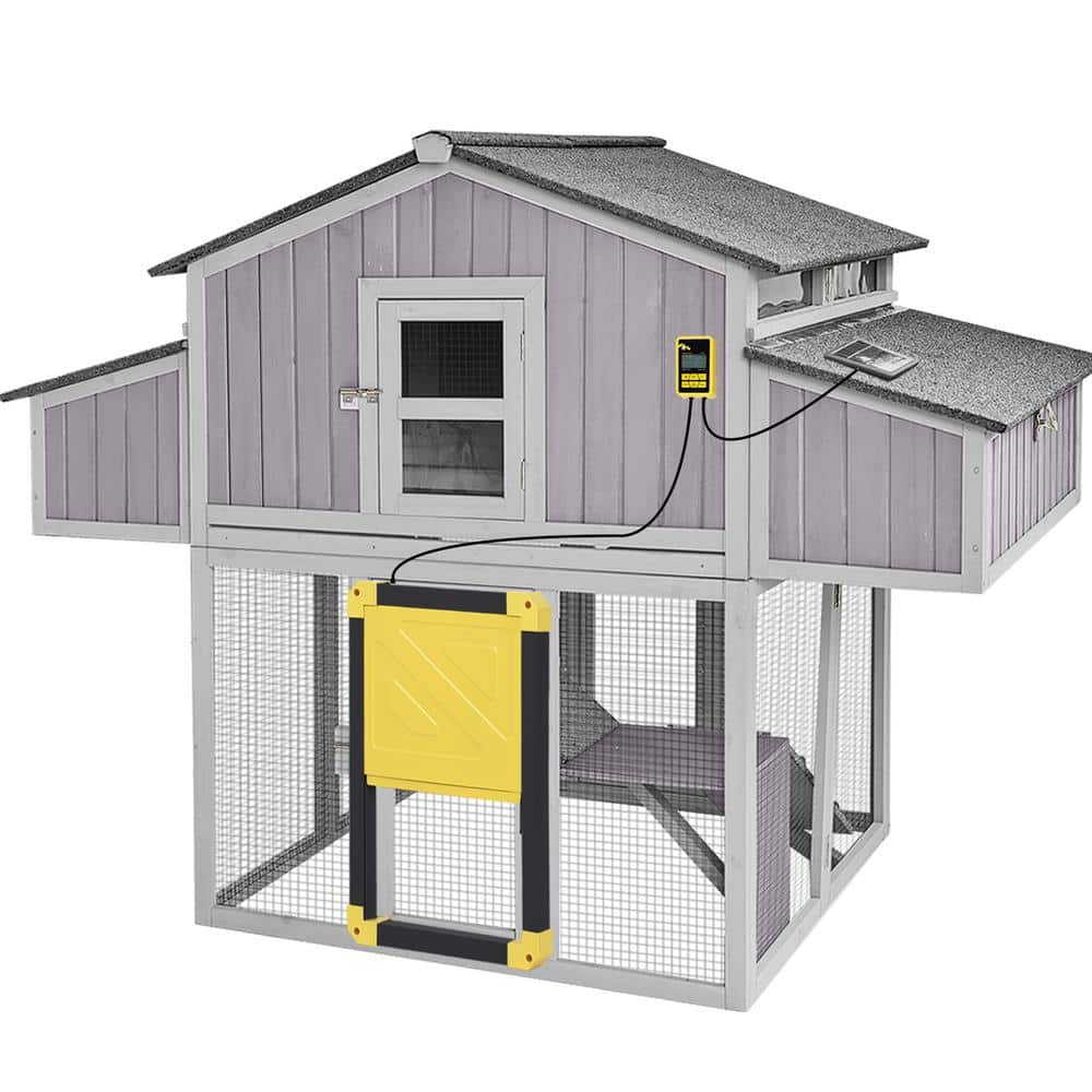 Foldable Chicken Coop for 3/4-Chickens with Fast Assembly Design and Automa