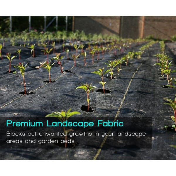 To Plant or Not to Plant? The Low-Down on Fabric Containers » Other »Holden  Forests & Gardens