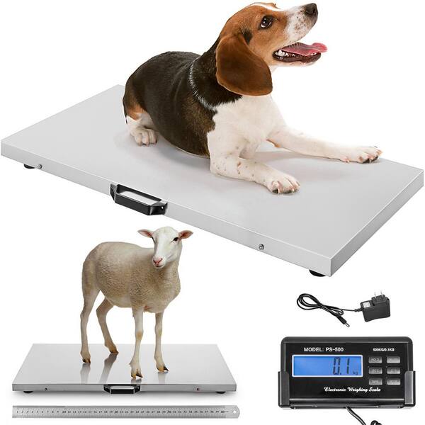 Balance Numérique Vétérinaire 600LBS (272kg) - Grande Plateforme Inox, étanche