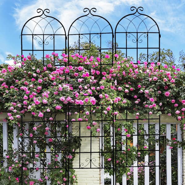 FIROMO 86.7 in. x 19.7 in., 4-Pack Metal Garden Trellis, Rustproof, Outdoor Trellis, Black