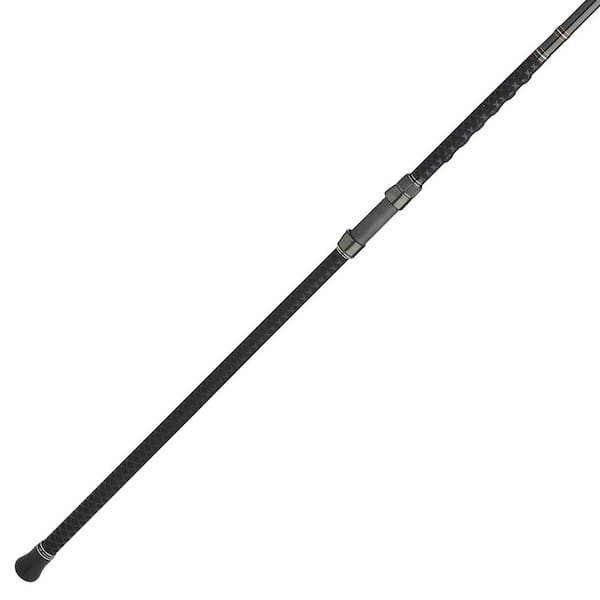 Penn Carnage III Surf Conventional Casting Fishing Rod 12 ft. Up to 50 lbs. Black 1545868-HD - The Home Depot Penn Carnage III Surf Conventional Casting Fishing Rod 12 ft. Up to 50 lbs. Black 1545868-HD - The Home Depot