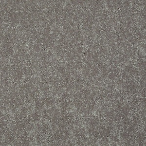 Brave Soul II - Tapestry - Brown 44 oz. Polyester Texture Installed Carpet