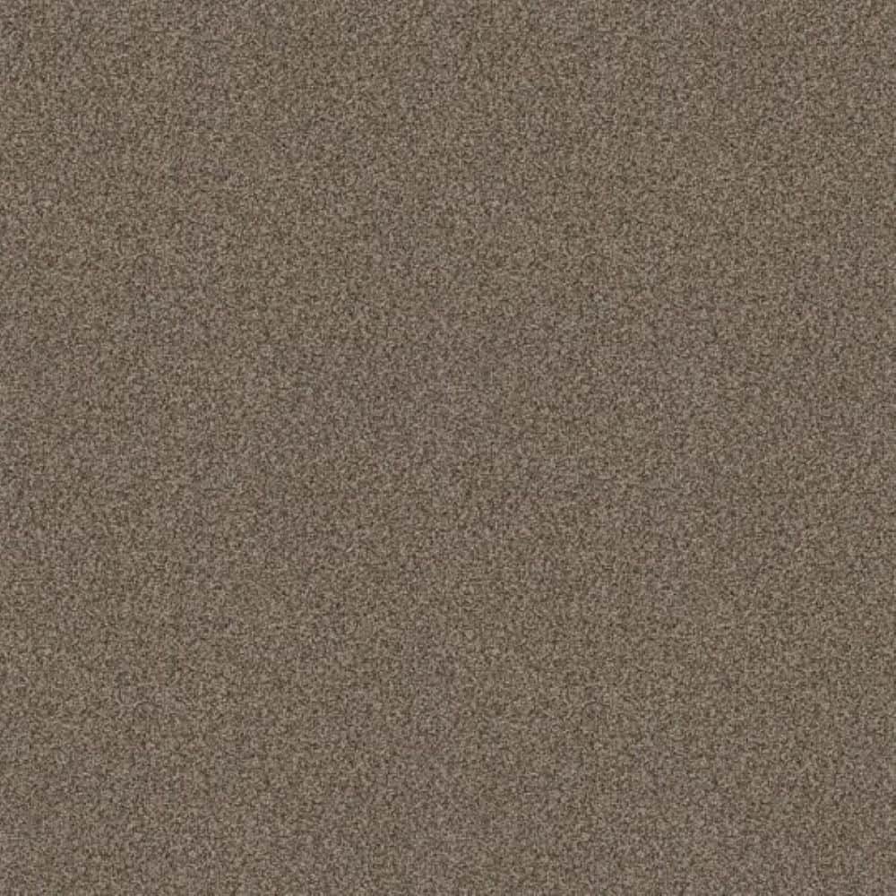 8 in. x 8 in. Texture Carpet Sample - Urban Artifact II - Color Western Days price history on PriceWatchPro