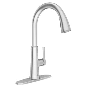 Renate Single Handle Pull Down Sprayer Kitchen Faucet in Stainless Steel