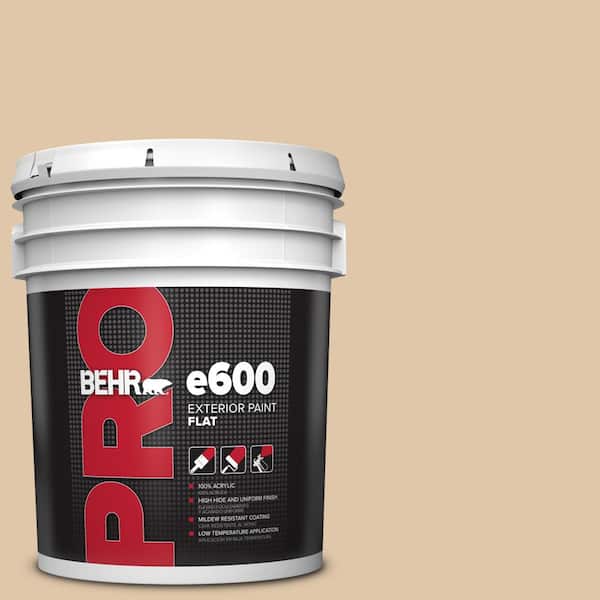 BEHR PRO 5 gal. #S260-2 Pumpkin Seed Flat Exterior Paint