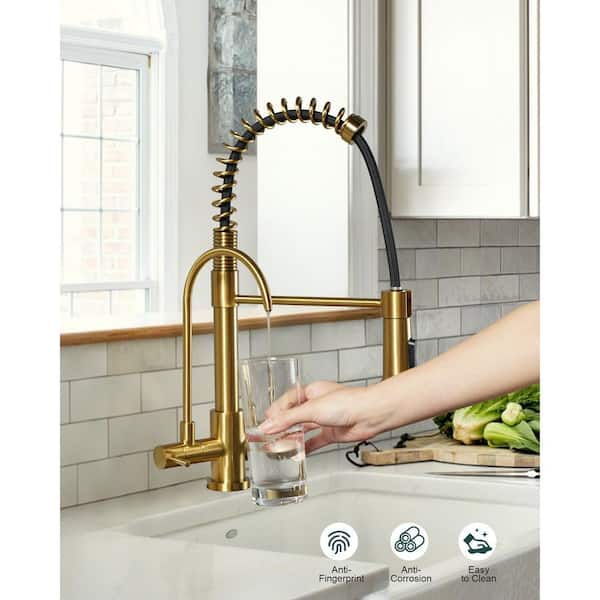 Double Handles Solid Brass Pull Down Sprayer Kitchen Faucet with Drinking Water Filter in Brushed Gold