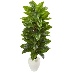 Indoor 63-In. Large Leaf Philodendron Artificial Plant in White Planter