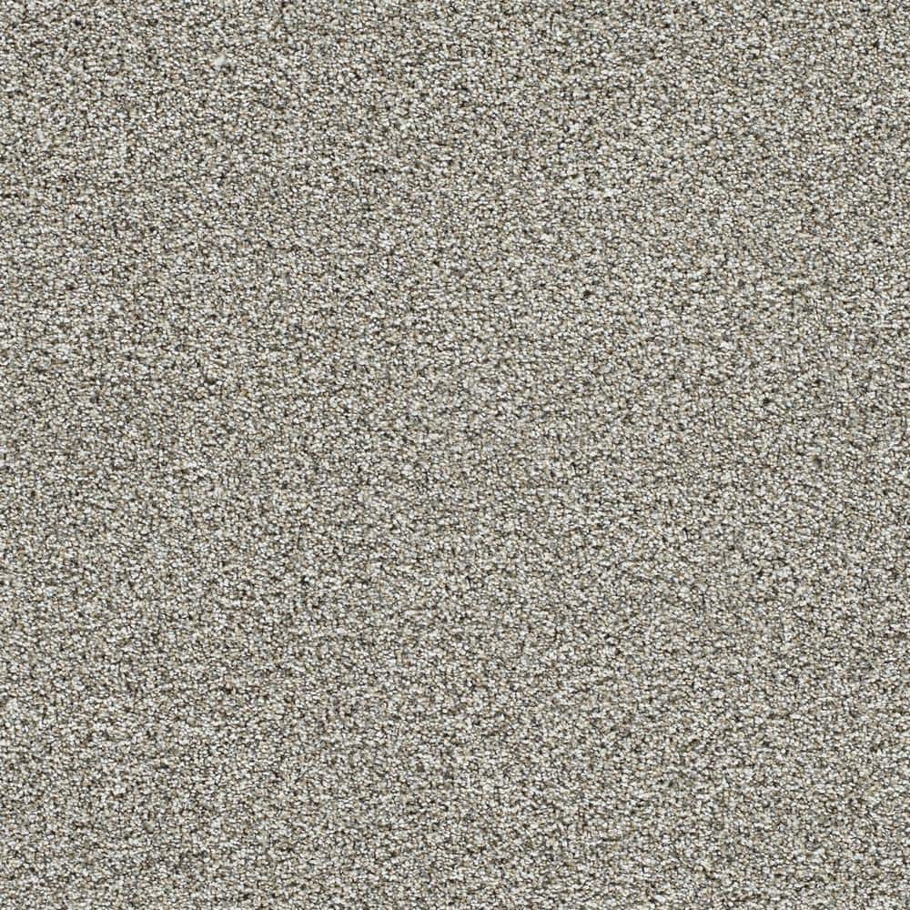 8 in. x 8 in. Texture Carpet Sample-Evermore II-Color Perpetual price history on PriceWatchPro