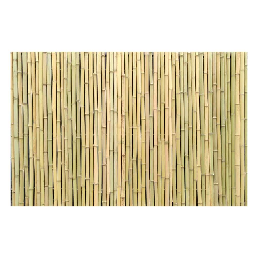 Outdoor Patio 6 W x 4 H Natural Bamboo No Dig Privacy Fence, 1-Pack, 0.9-1.1 in. Dia price history on PriceWatchPro