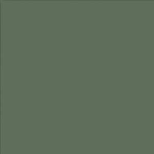 Madison 7 5/16 in. W x 3/4 in. D x 7 5/16 in. H Quarter Cabinet Door Sample in Evergreen