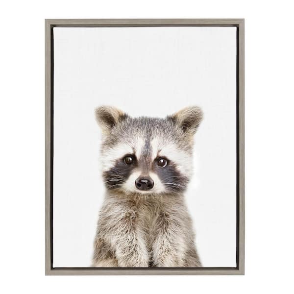Kate and Laurel Sylvie "Animal Studio Raccoon" by Amy Peterson Framed Canvas Wall Art