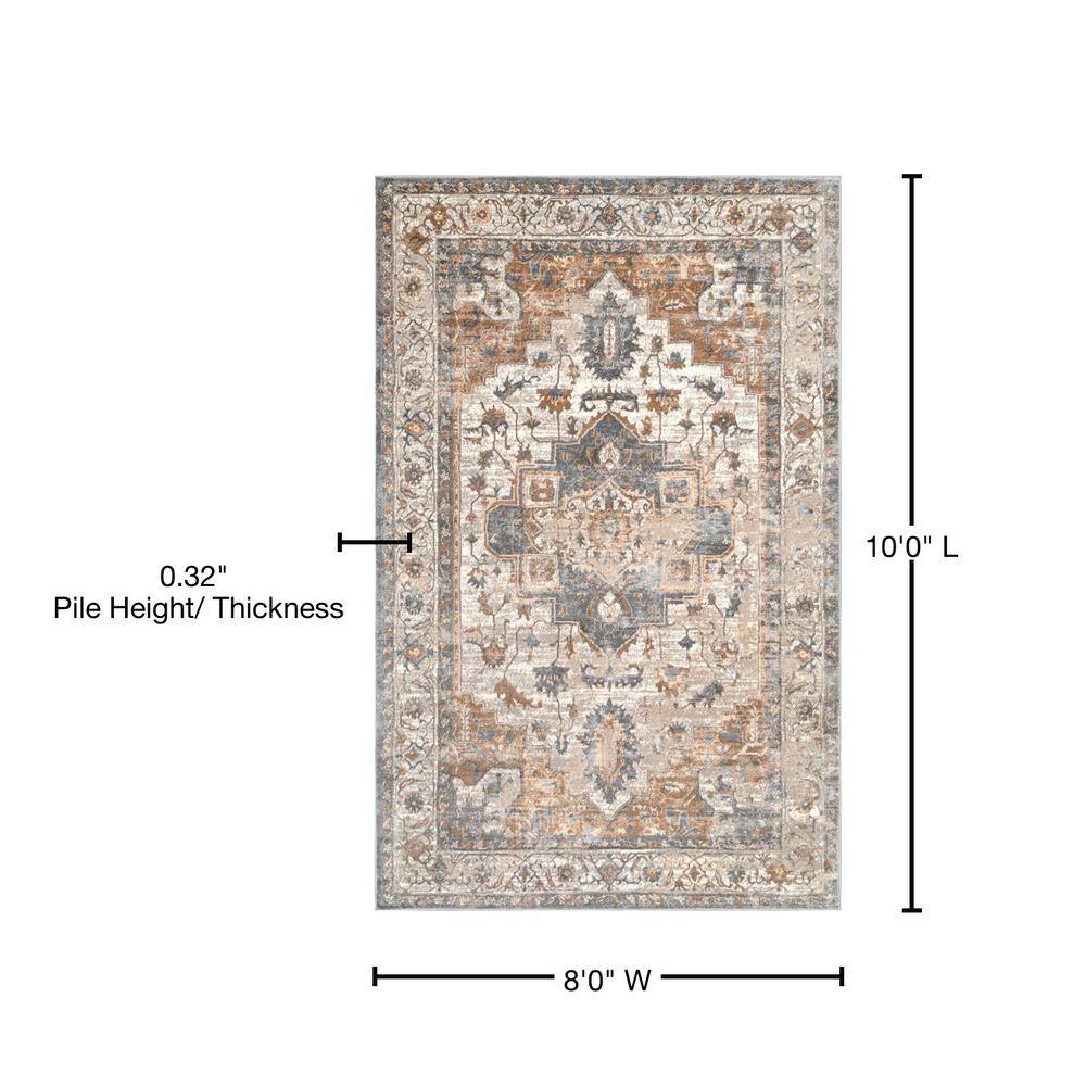 Gray and Beige Medallion 8' x 10' Reversible Synthetic Area Rug
