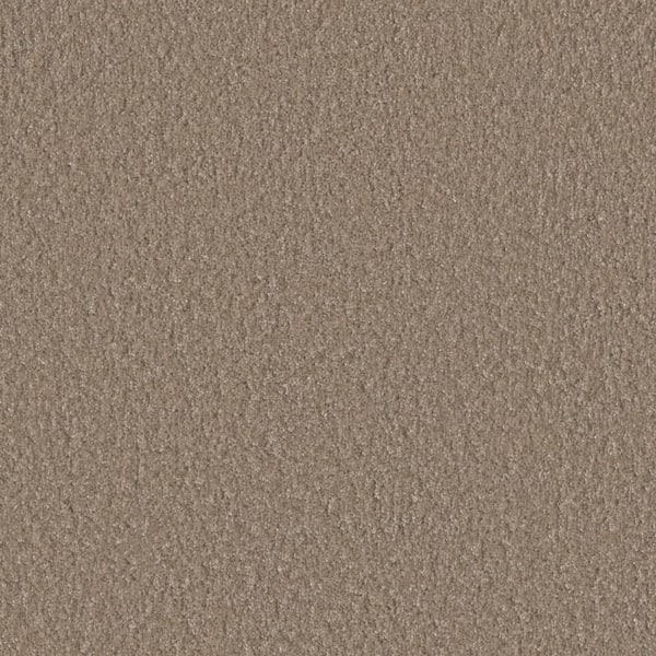 Blissful II - Exuberant Beige - 60 oz. SD Polyester Texture Installed Carpet
